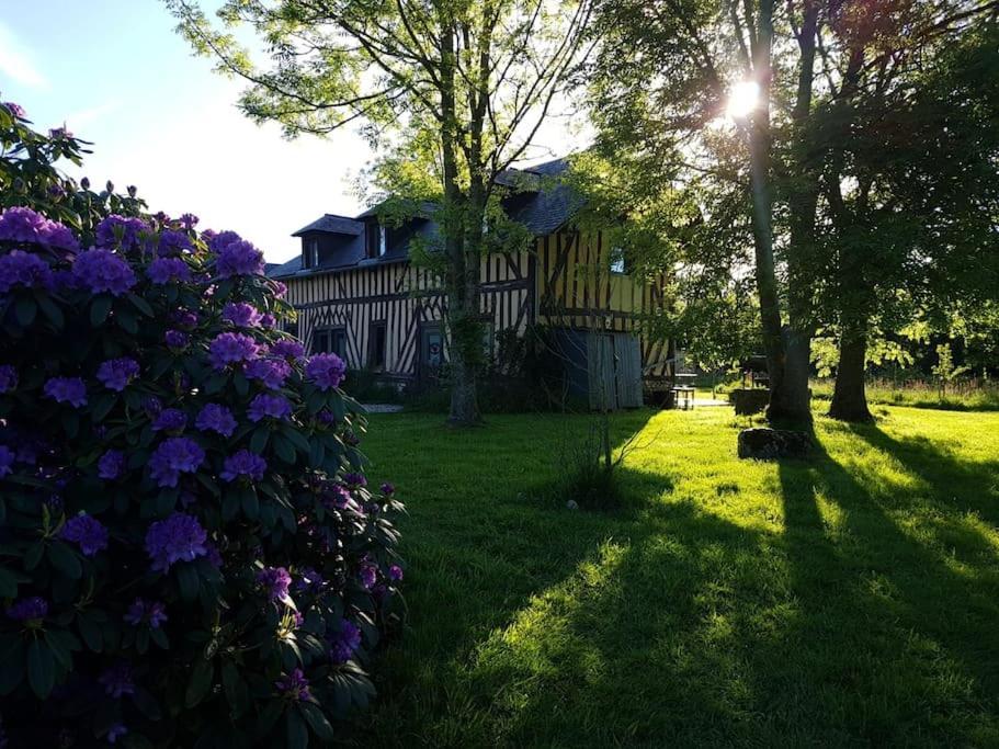 Cohco'Art Gites Fatouville-Grestain Bagian luar foto